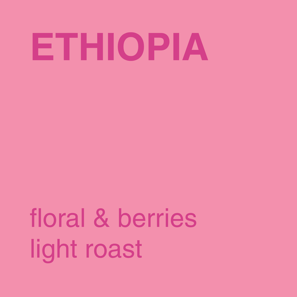 Ethiopia Guji- Organic