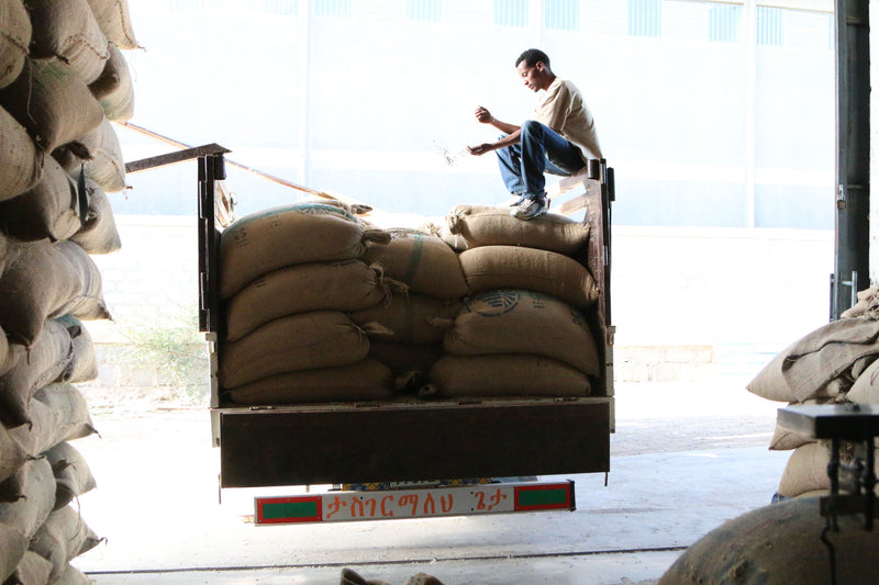 Ethiopia Guji- Organic