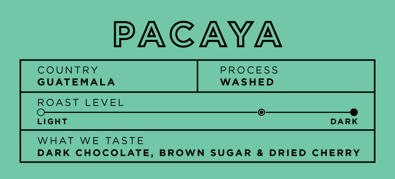Guatemala Pacaya 5lb bag [$49.50 with wholesale discount]